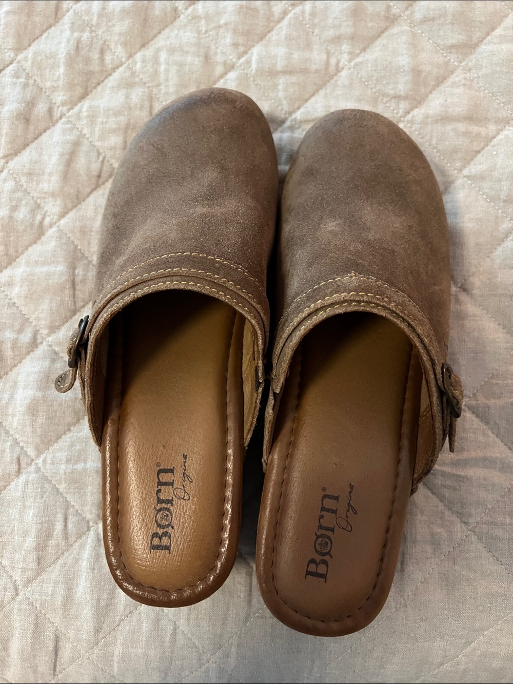 Born Brown Suede Slip-On Clogs with Side Buckle